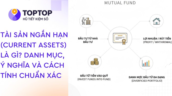 Đầu Tư Chứng Chỉ Quỹ Từ A-Z: Hướng Dẫn Cho Người Mới Bắt Đầu (An Toàn & Hiệu Quả)